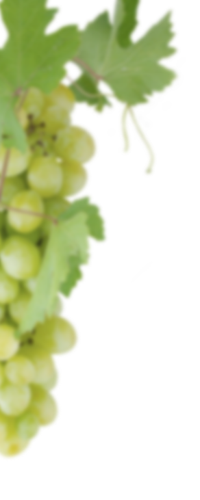 vinegrant