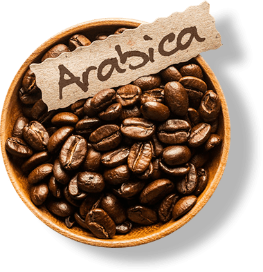 arabica